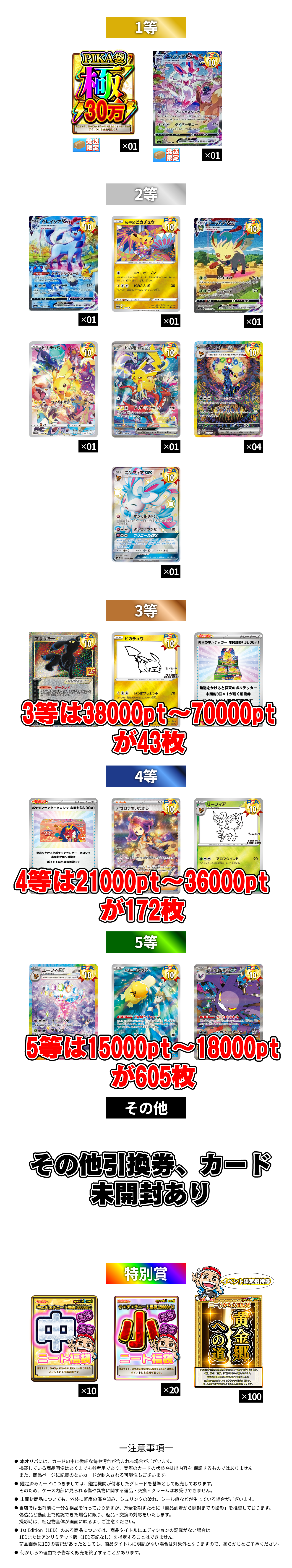 1/10 チケット収穫祭　ピカブイループ