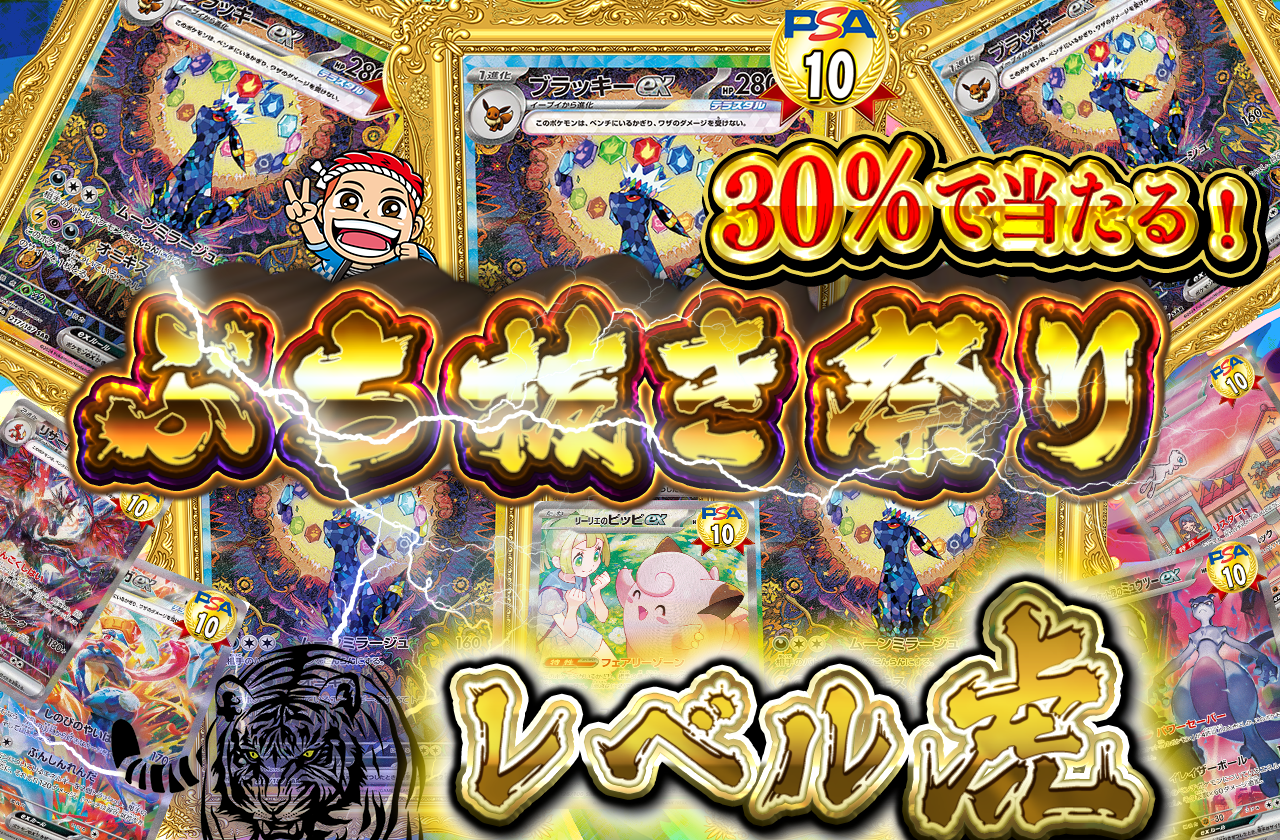 11/17 ぶち抜き祭り（そこそこ）　レベル虎