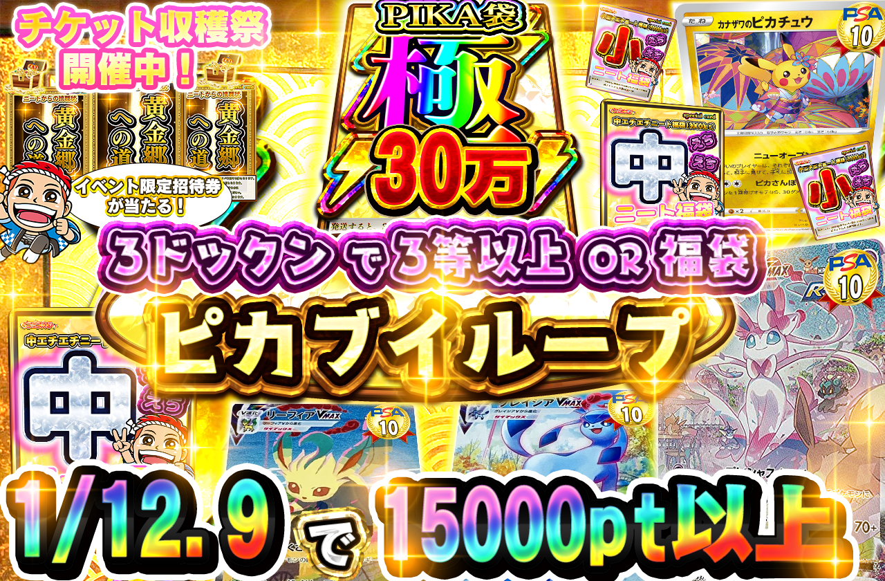 1/10 チケット収穫祭　ピカブイループ